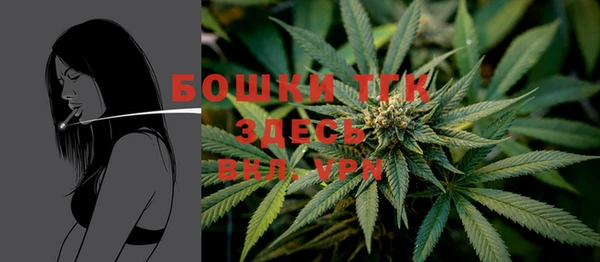 PSILOCYBIN Алзамай