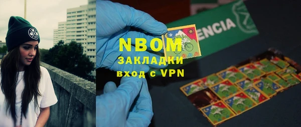 PSILOCYBIN Алзамай