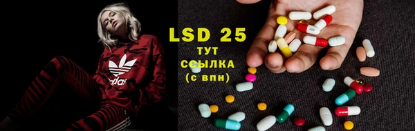 PSILOCYBIN Алзамай