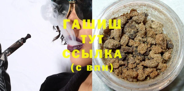 PSILOCYBIN Алзамай
