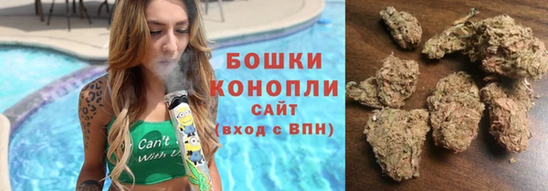 PSILOCYBIN Алзамай
