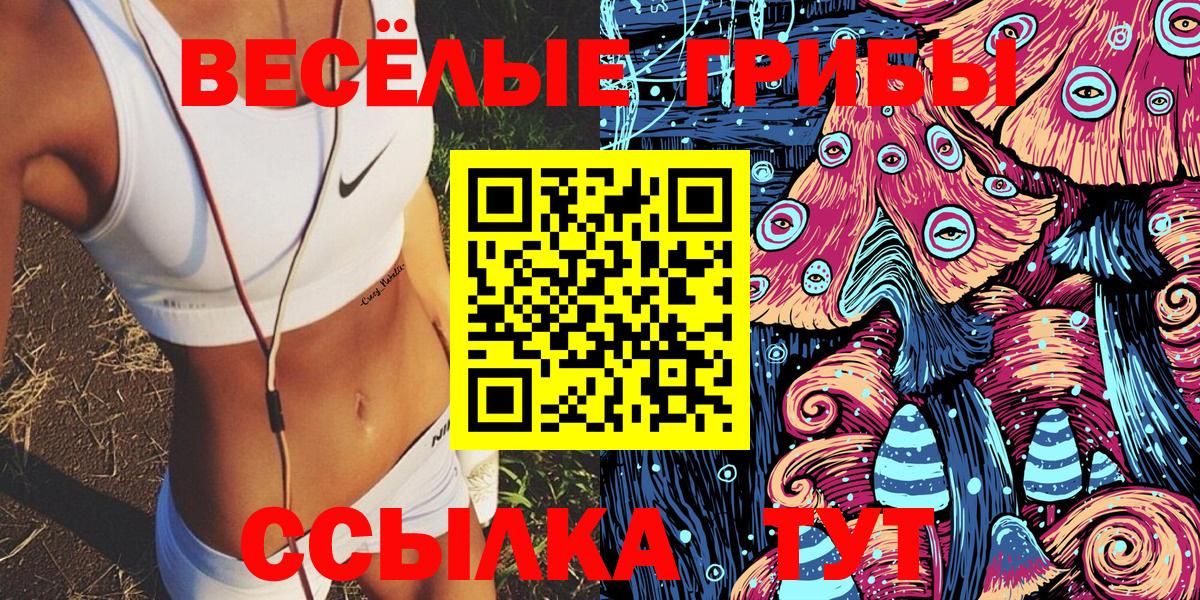 Галлюциногенные грибы Cubensis  Вход с VPN  Нижний Новгород 